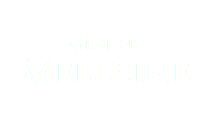 Meeting Melusine
