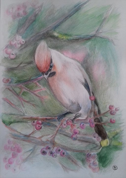 Oiseau exotique au Crayon aquarellable sur Canso A4